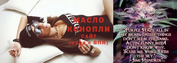 твердый Вяземский