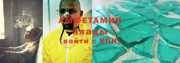 твердый Вяземский