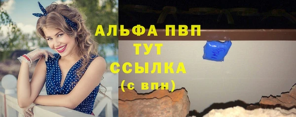 твердый Вяземский
