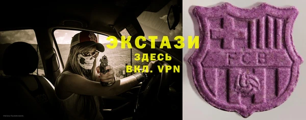 твердый Вяземский