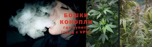 твердый Вяземский