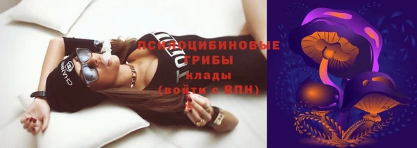 Альфа ПВП Вязьма