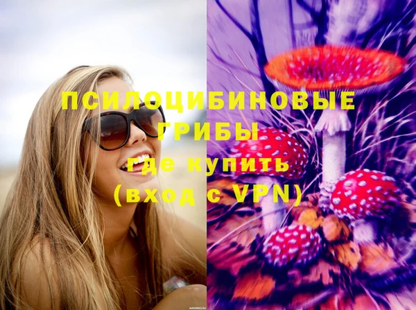 Альфа ПВП Вязьма