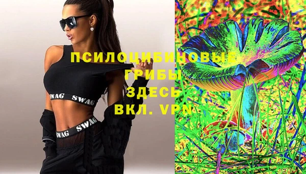 Альфа ПВП Вязьма