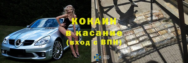 твердый Вяземский
