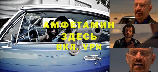 твердый Вяземский