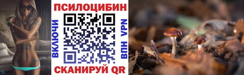 хочу наркоту Моршанск Галлюциногенные грибы ЛСД