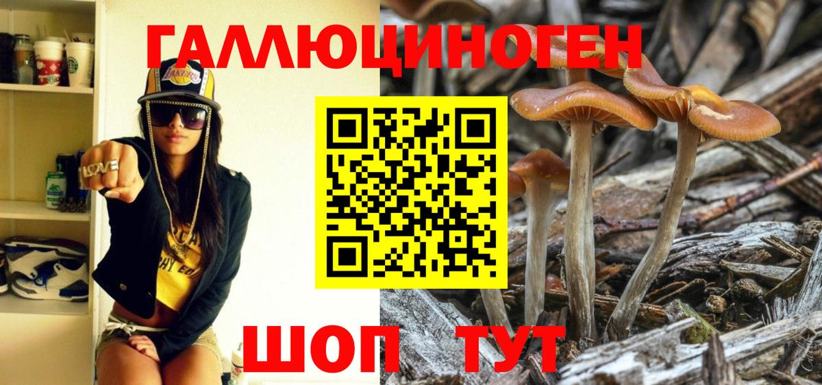 Псилоцибиновые грибы GOLDEN TEACHER Моршанск