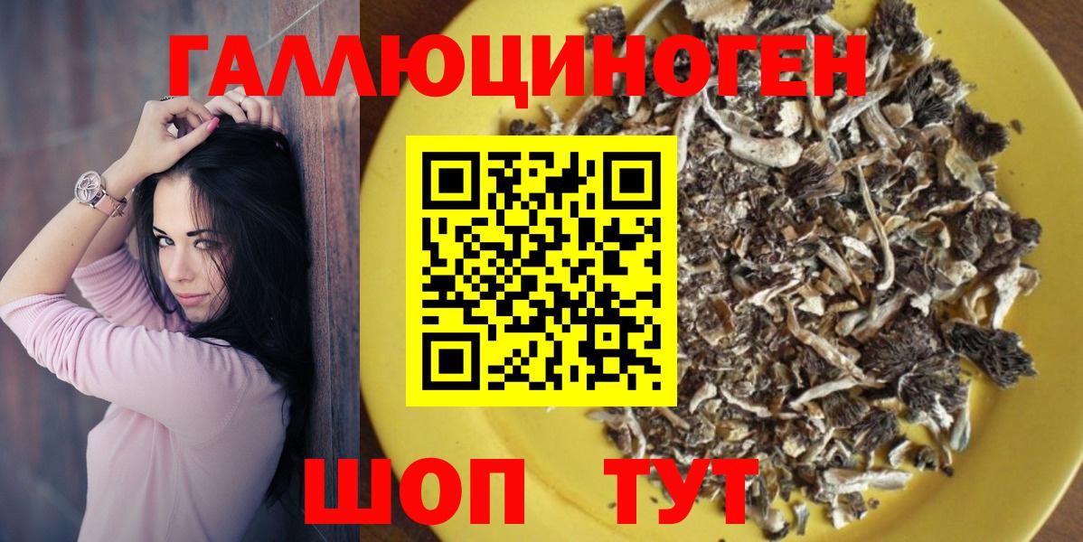 Псилоцибиновые грибы Psilocybine cubensis  Вход с VPN  Моршанск 