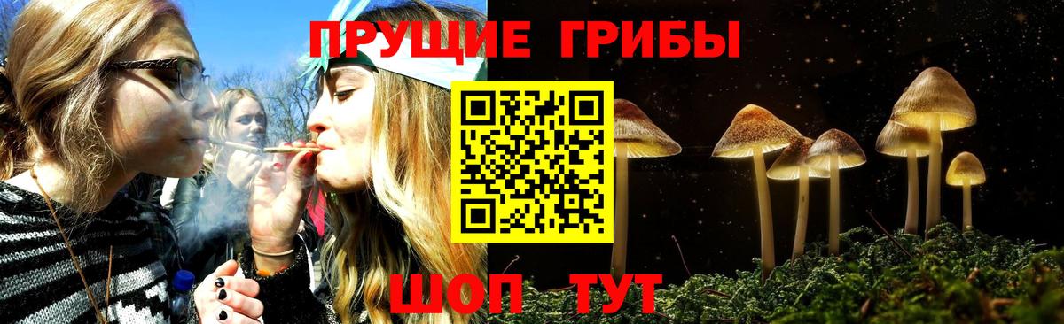 Галлюциногенные грибы мухоморы Моршанск